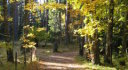 Naturgruppen