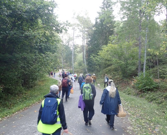 Förväntansfulla svampplockare på väg ut i skogen